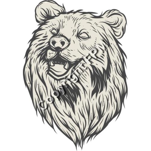 A1817 Bear Thumbnail