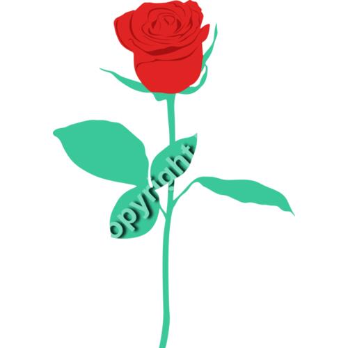 A1409 Rose Thumbnail