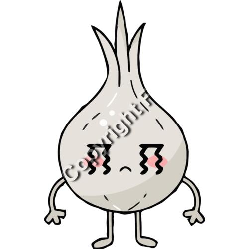 A1416 Onion Thumbnail