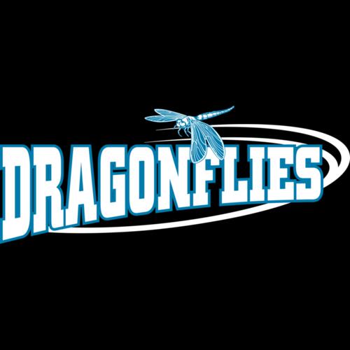 1282 Dragonflies Thumbnail