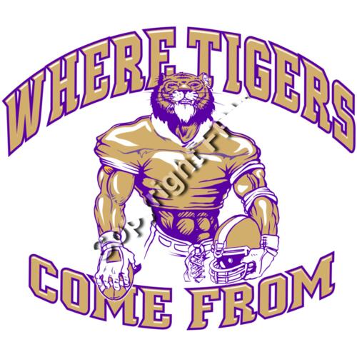 1259 Where Tigers Come From Thumbnail