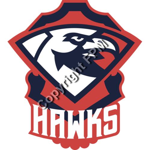 1310 Hawks Thumbnail
