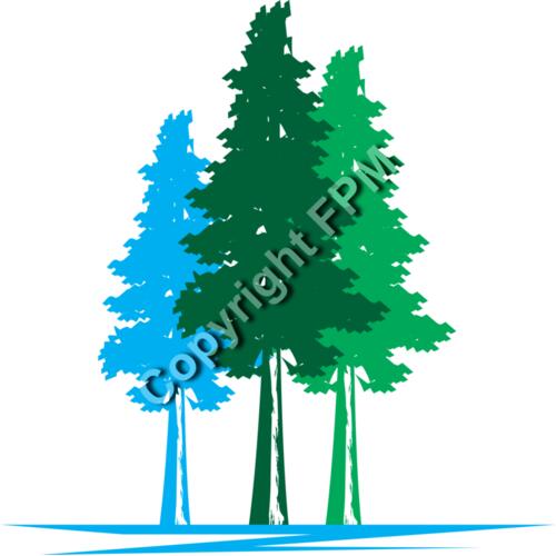 B1020 Redwood Trees Thumbnail