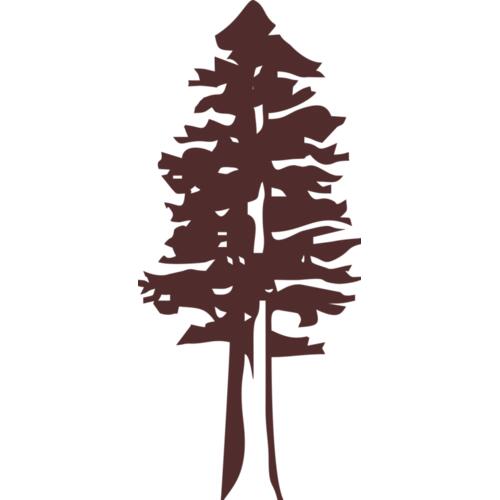 B1021 Redwood Tree Thumbnail