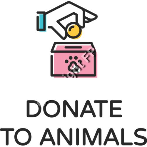 8123 Donate to Animals Thumbnail