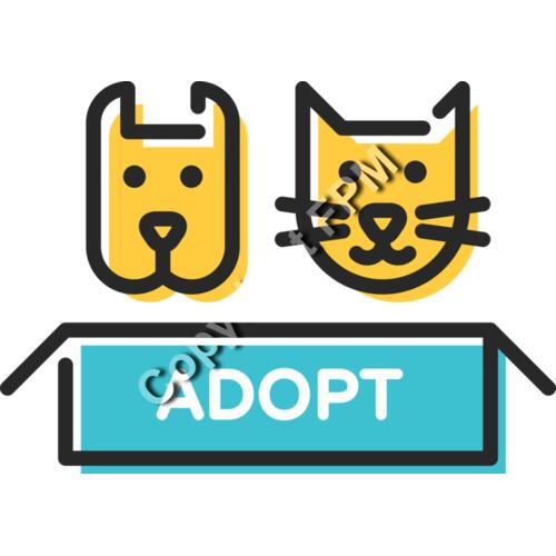 8125 Adopt Thumbnail