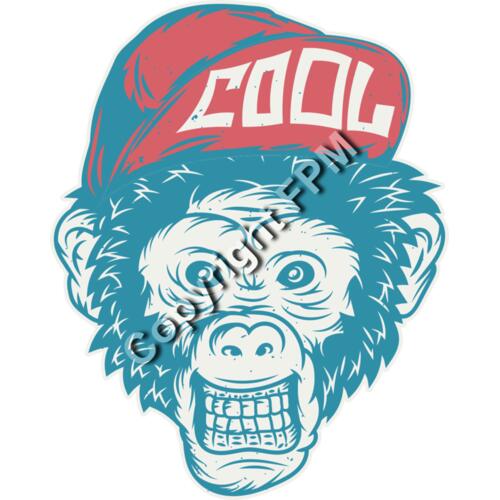 B6165 Cool Monkey Thumbnail