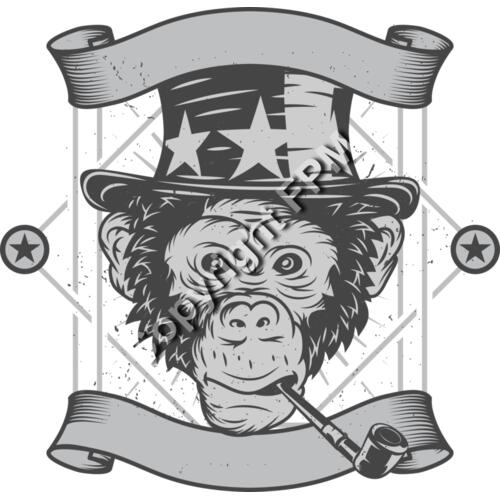 B6166 Cool Monkey Thumbnail