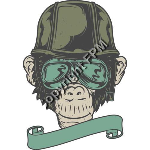 B6167 Cool Monkey Thumbnail