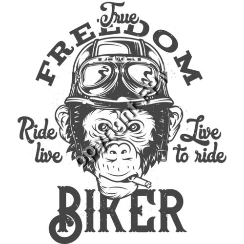 B6169 Biker Monkey Thumbnail