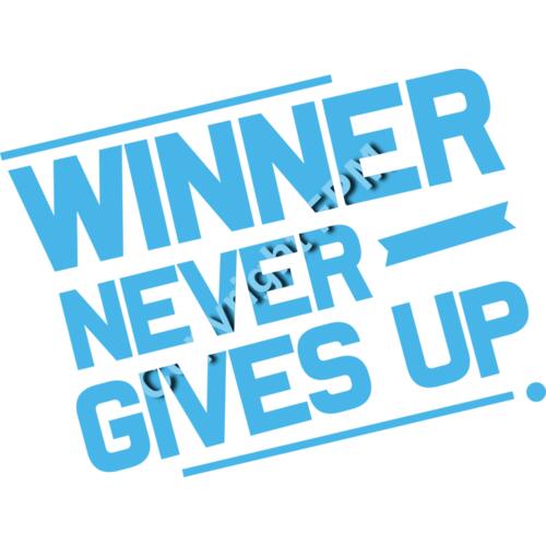 B6263 Winner Thumbnail