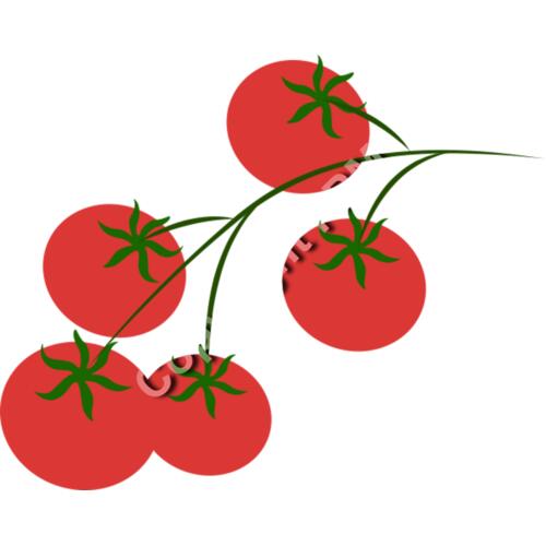 B4369 Tomatos Thumbnail