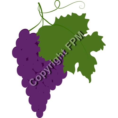 B4370 Grapes Thumbnail