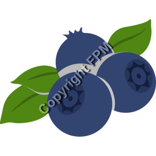 B4373 Blueberries Thumbnail