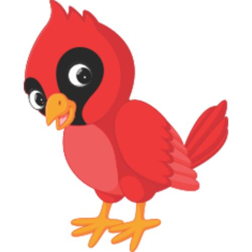 8945 Cardinal Thumbnail