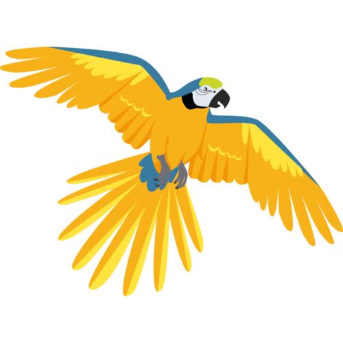 3425 Parrot Thumbnail