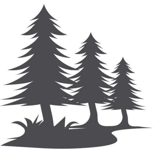 5429 Trees Thumbnail