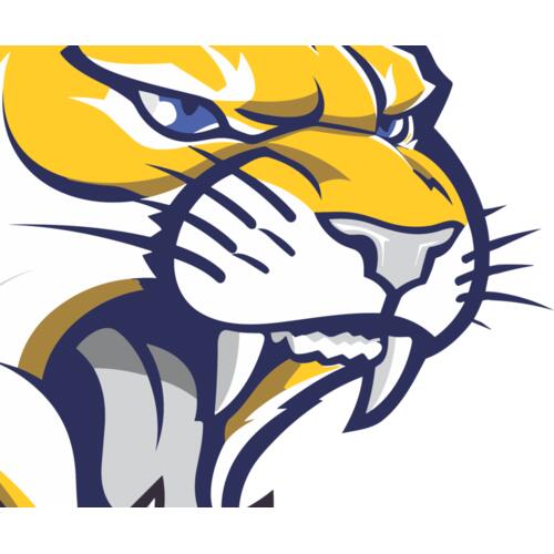 1254 Wildcat Thumbnail