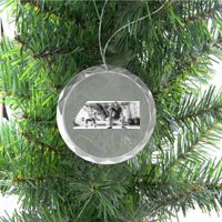 3 1/4" Round Clear Glass Ornament with Silver String Thumbnail