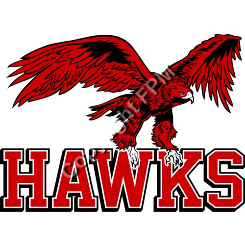 Hawks Thumbnail