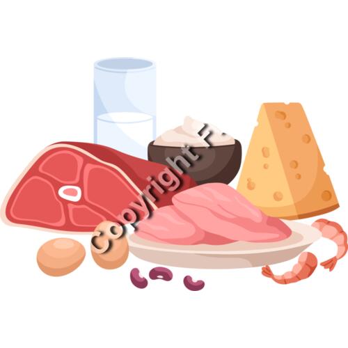 Protein / Meat Thumbnail